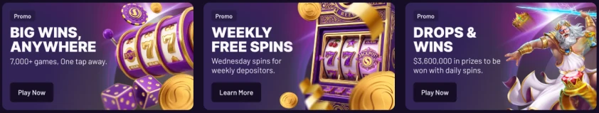 spinbet-bonuses